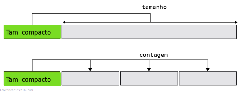 Diagrama mostrando como o campo compact size indica o tamanho ou a contagem de itens a seguir.