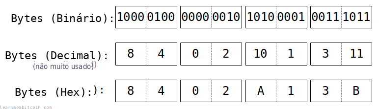 Diagrama mostrando bytes de dados representados em binário, decimal e hexadecimal.