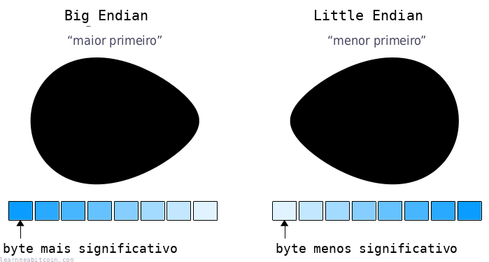 Diagrama mostrando a ponta pequena e a ponta grande de ovos.